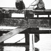 On the pier by kiwichick