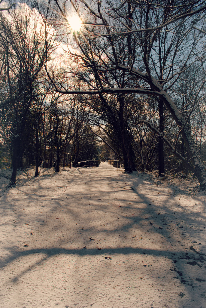 Walking in a Winter Wonderland by alophoto