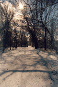 29th Nov 2014 - Walking in a Winter Wonderland