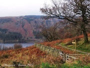 28th Nov 2014 - Thirlmere in the Lakes
