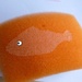 This fish helped me with washing up :D by gabis