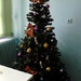Το τελευταίο Χριστουγεννιάτικο δέντρο της τάξης.. by nefeli