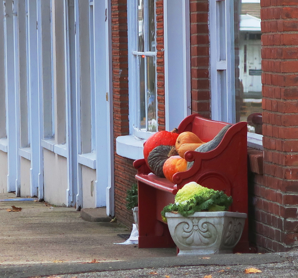 Gourds on a Bench by april16