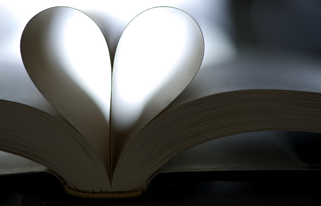 Book Heart by kwind