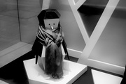 28th Nov 2014 - Chic Penguin