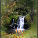 Waitangi Falls.. by julzmaioro
