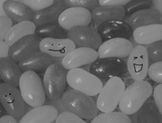 16th Nov 2014 - Smiling beans