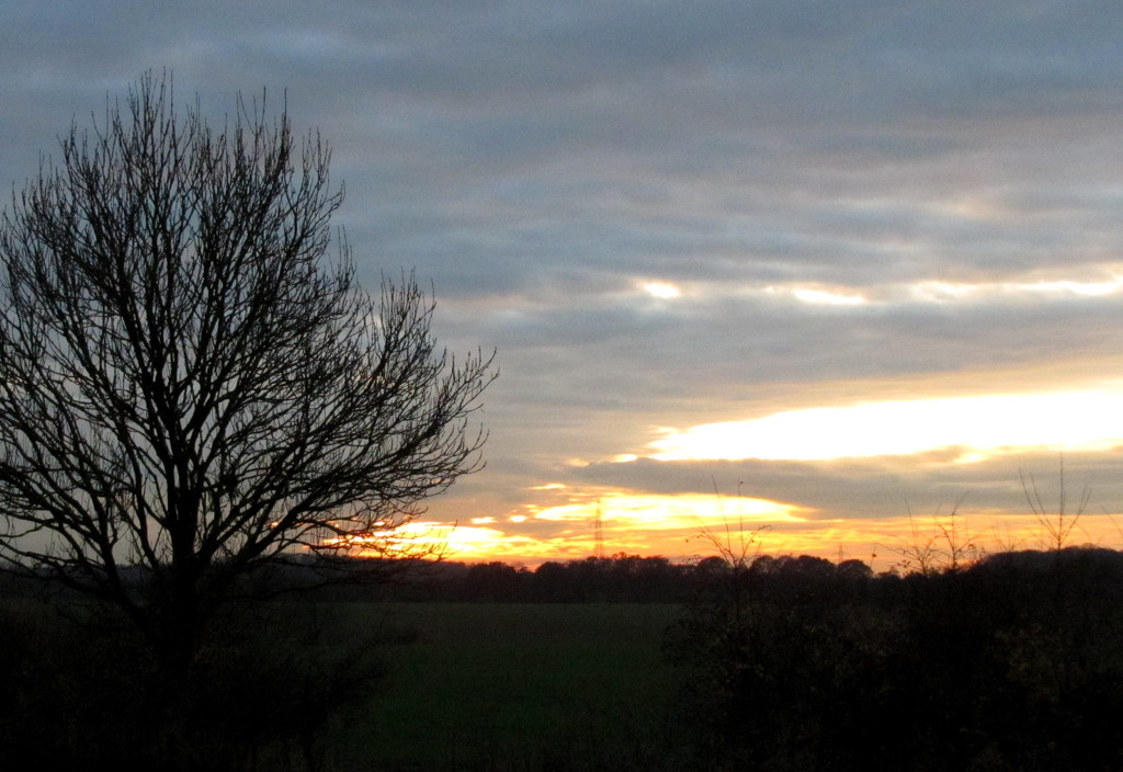 Cambridge sunset by busylady