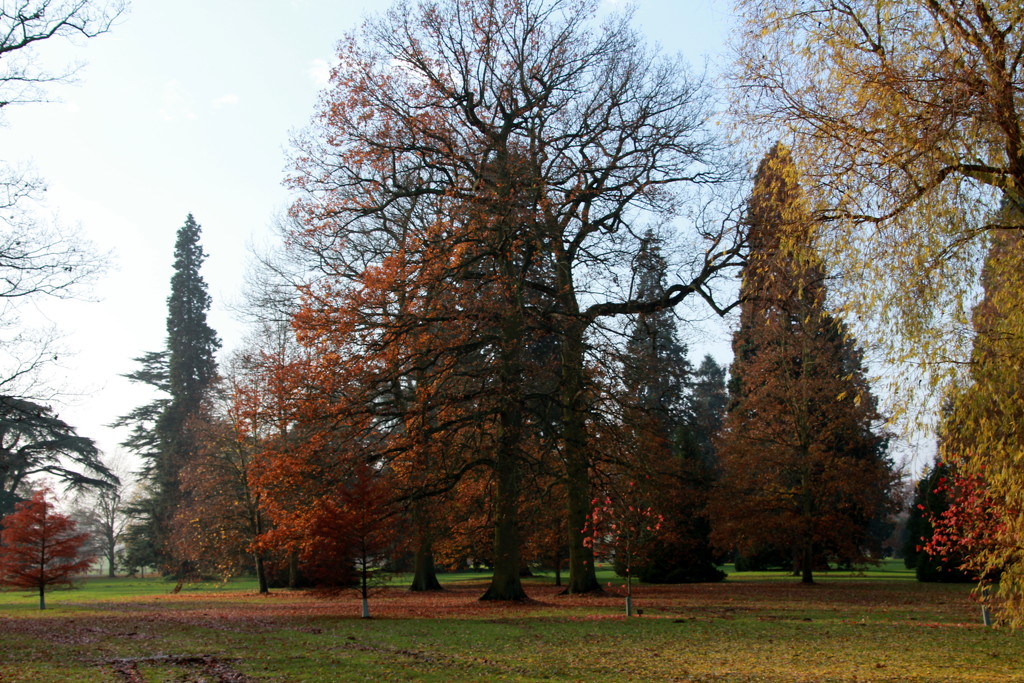 Autumn at Kimbolton by busylady