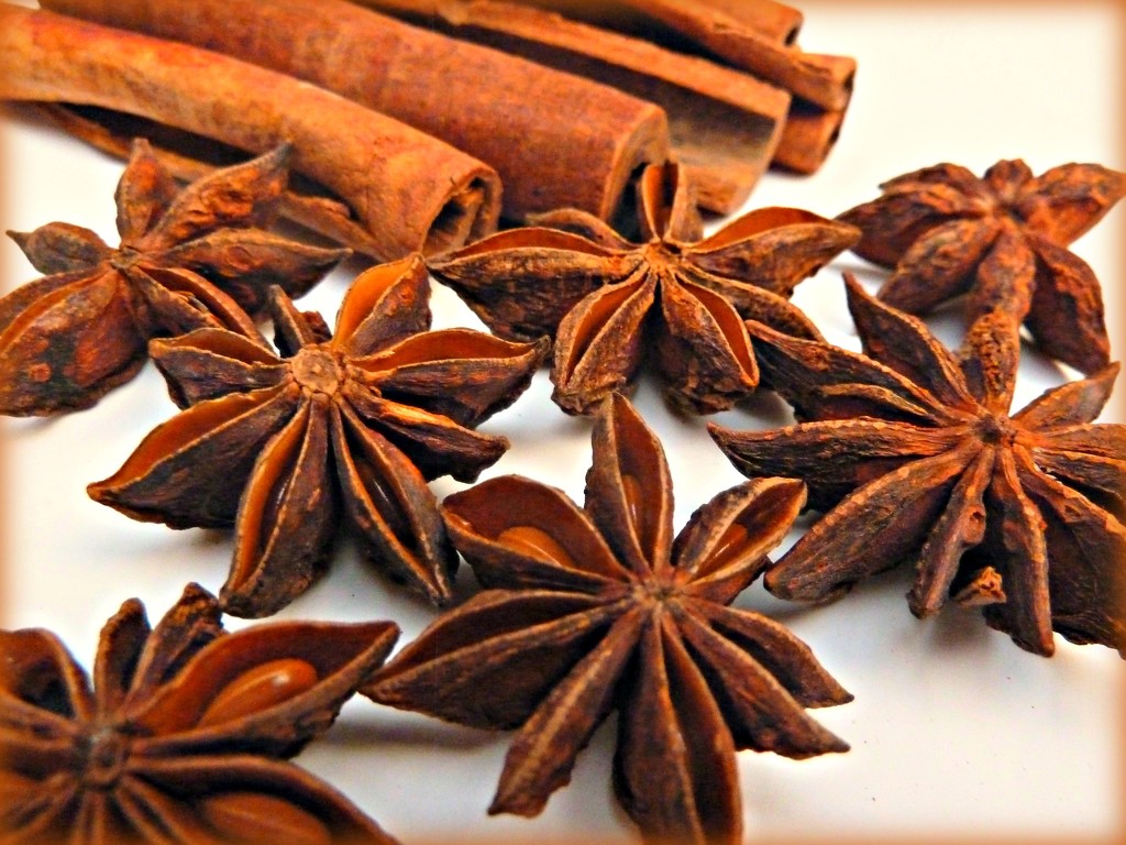 Star  Anise by wendyfrost