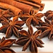 Star  Anise by wendyfrost