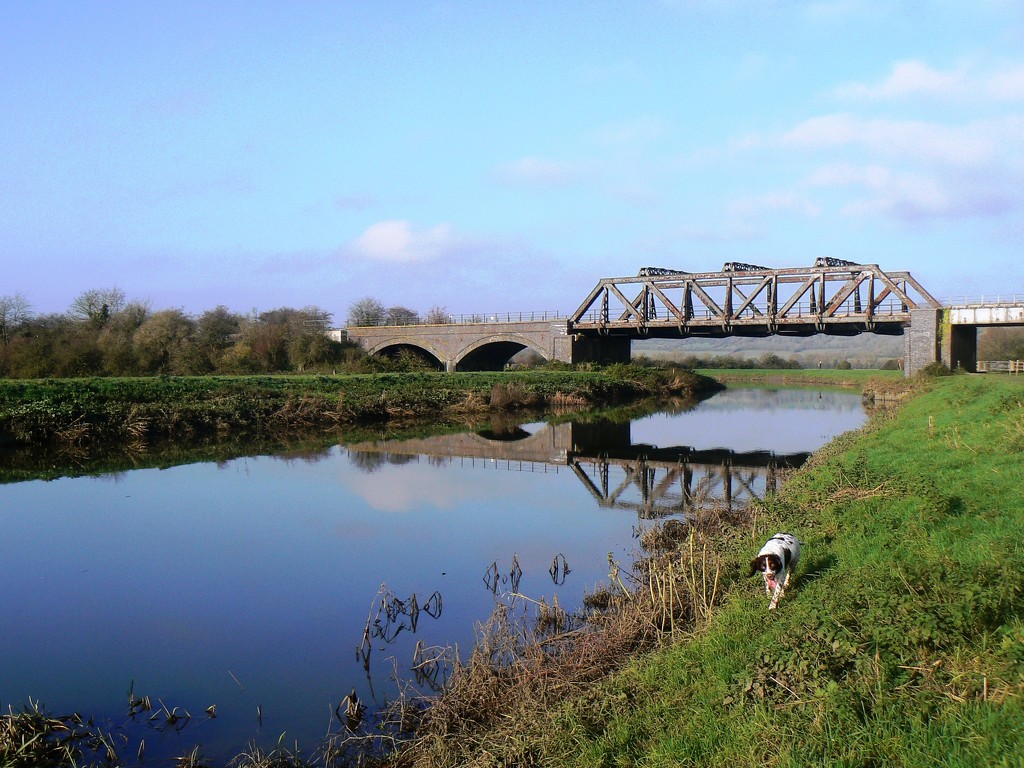 Girder railway bridge over the River Parrett at Langport by julienne1