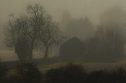 29th Nov 2014 - Another mist shot