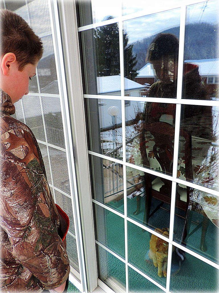 Reflections in a window! by homeschoolmom