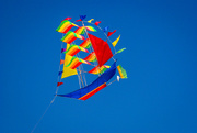 30th Nov 2014 - "Go fly a kite"