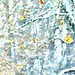 Snowy Trees by lynnz