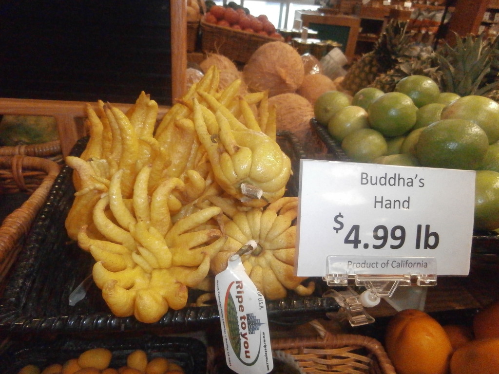 Buddha's Hand citrus fruit by pandorasecho
