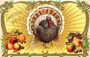 27th Nov 2014 - Happy Thanksgiving