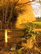 30th Nov 2014 - Over the stile along the Shropshire way....