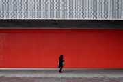 26th Nov 2014 - The Red Wall