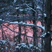 Winter Sunrise by mzzhope