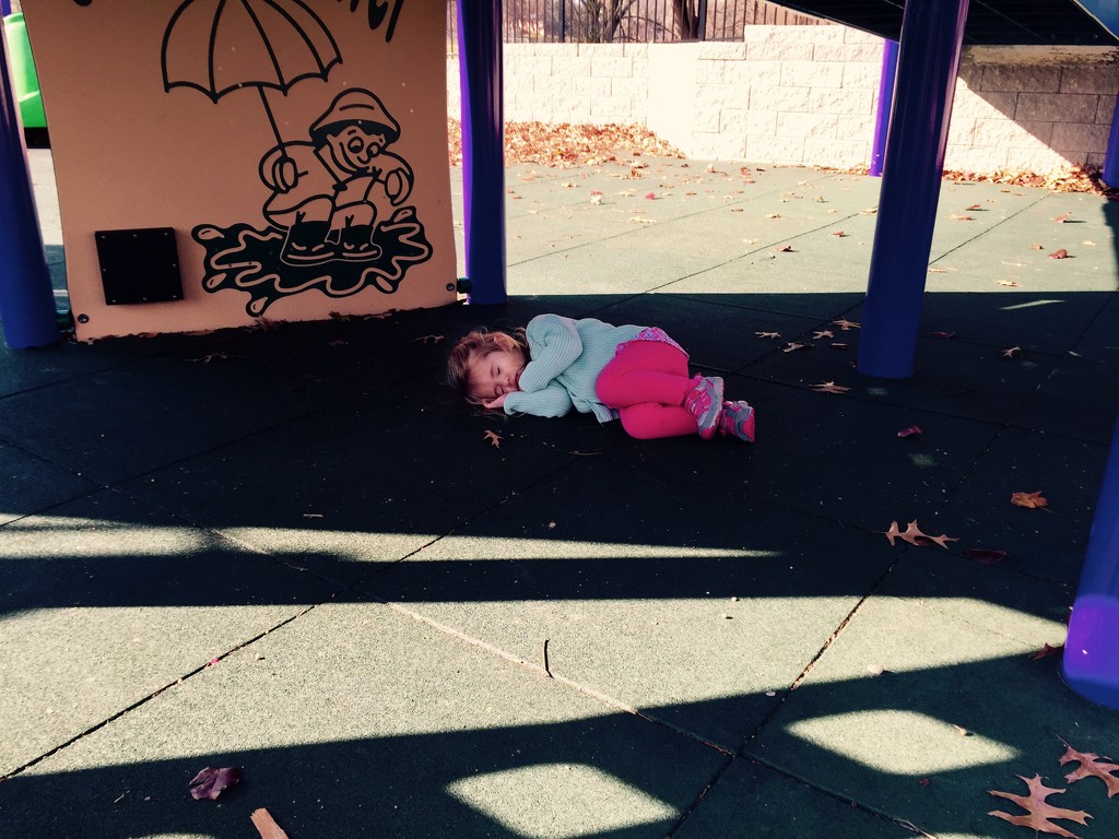 When your child lays down to take a nap at the playground, it is time to head home by mdoelger