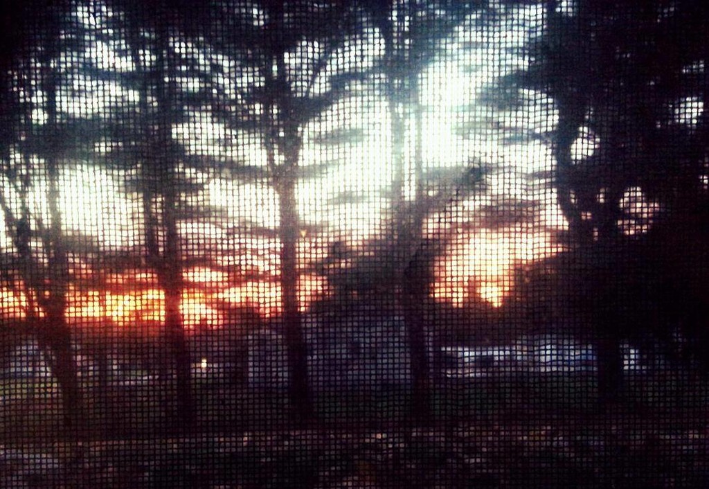 Day 329:  Sunset Through the Screen by sheilalorson