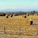Hay, mountains! by homeschoolmom