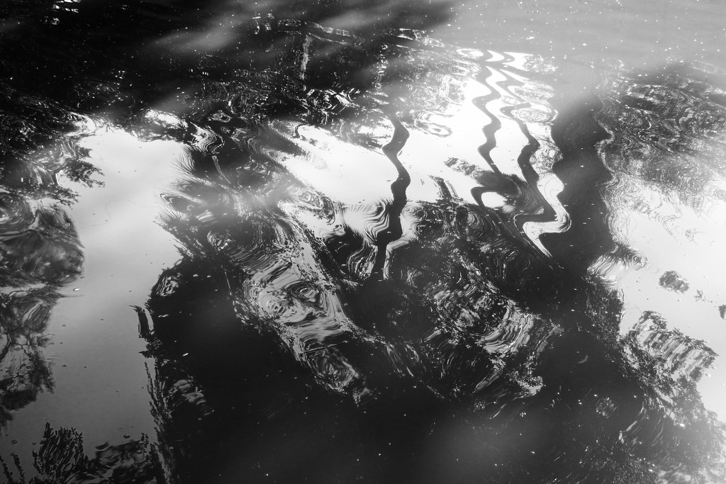 Reflections in black by joemuli
