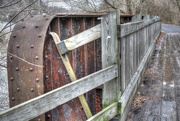 1st Dec 2014 - Rust by the walkway