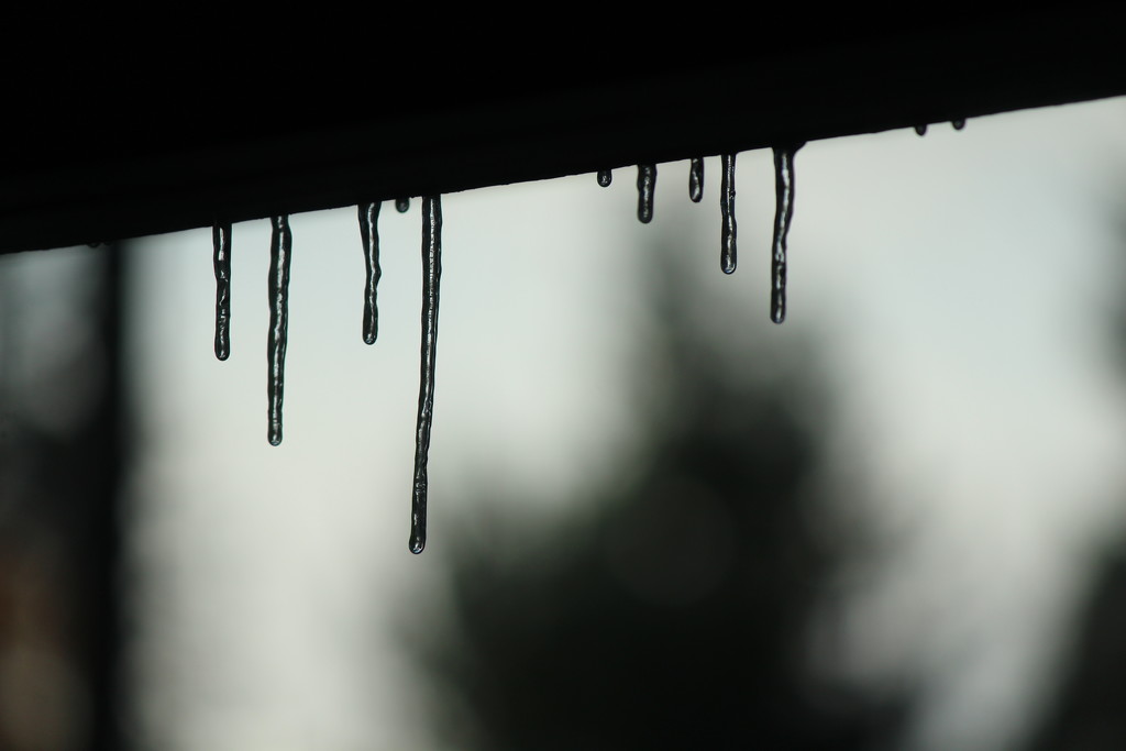 Icicles by nanderson