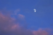 1st Dec 2014 - Moon and clouds