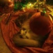 Holiday 2 - Kitty under the tree by mittens