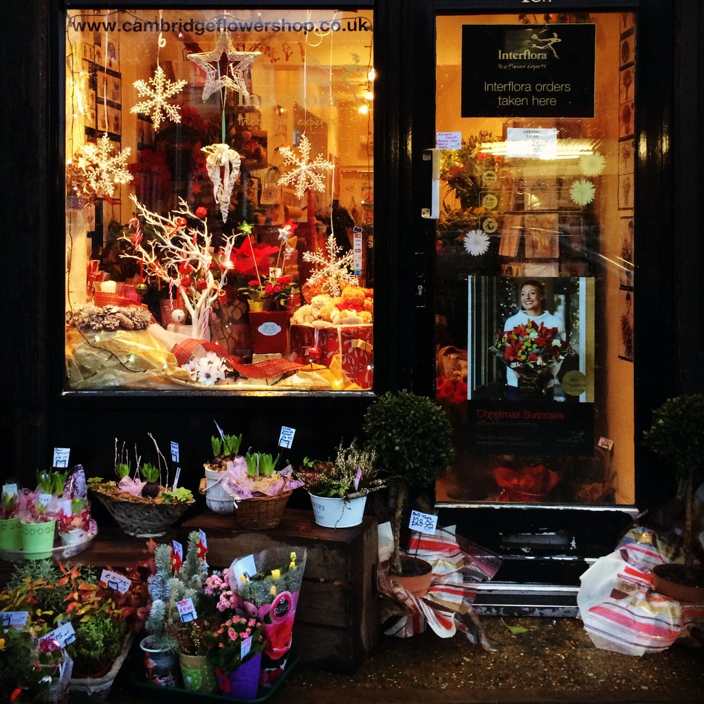 Cambridge Flower Shop by judithg