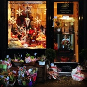 2nd Dec 2014 - Cambridge Flower Shop