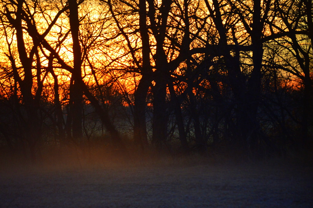 Sunrise Touches Fog by kareenking
