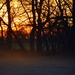 Sunrise Touches Fog by kareenking
