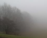 2nd Dec 2014 - Fog
