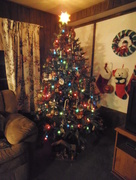 2nd Dec 2014 - Christmas Tree