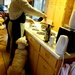 Doggy watching the Chef by bruni
