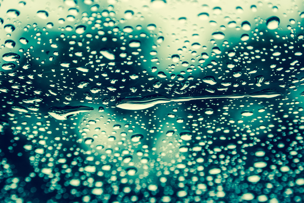 (Day 292) - Rainy Day by cjphoto