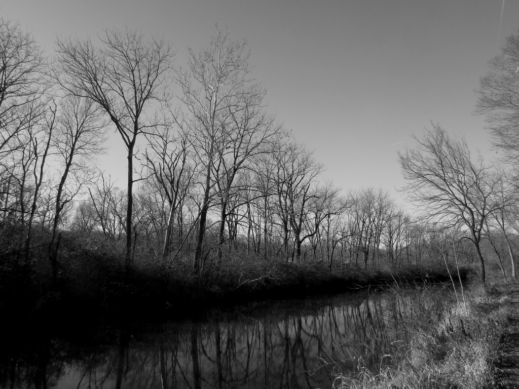Along The Illinois And Michigan Canal by randy23