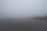 2nd Dec 2014 - Foggy day