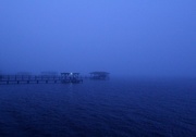 3rd Dec 2014 - Blue fog