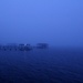 Blue fog by joemuli