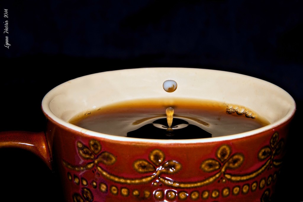 A Drop of Cream in My Coffee, Please! by lynne5477