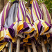A Bank of Umbrellas by fotoblah