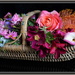 A Trug load of Flowers.. by julzmaioro
