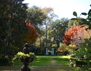 4th Dec 2014 - Garden, historic district, Charleston, SC