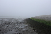 4th Dec 2014 - Low tide on a haze river
